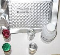 Human MPO ELISA Kit