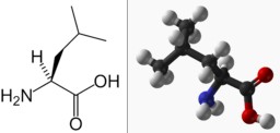 Leucine