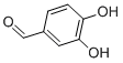 Protocatechualdehyde