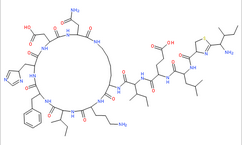 Bacitracin Zinc