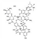 Vancomycin