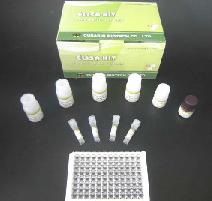 Rat thrombin receptor,TR ELISA Kit