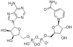 beta-Diphosphopyridine nucleotide