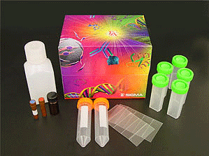 Rat 8-iso prostaglandin,8-iso-PG ELISA Kit