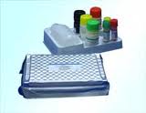 Rat Luteinizing Hormone-Releasing Hormone,LHRH ELISA Kit