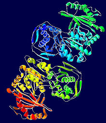 Phosphoglucomutase