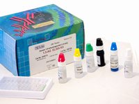 Human dopachrome tautomerase,DT ELISA Kit