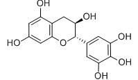 Gallocatechin