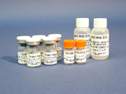 Rat Carboxyterminal propeptide of type Ⅰ procollagen,PⅠCP ELISA Kit
