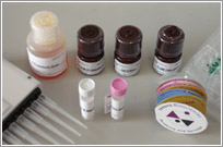 Rat Soluble protein-100,S-100 ELISA Kit