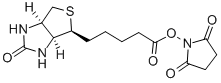1H-Thieno[3,4-d]imidazole-4-pentanoicacid, hexahydro-2-oxo-, 2,5-dioxo-1-pyrrolidinyl ester, (3aS,4S,6aR)-
