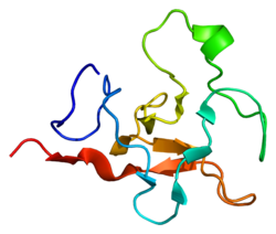 Plasmin