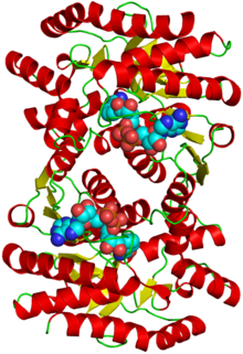 Malate dehydrogenase