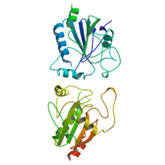 Glutathione peroxidase