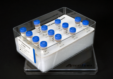 Rat β2-glycoprotein 1 antibody IgAGM,β2-GP1 IgAGM ELISA Kit