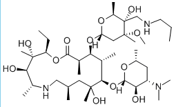 Tulathromycin