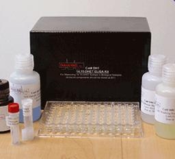 Rat complement factor H,CFH ELISA Kit