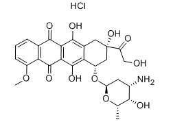 Adriamycin