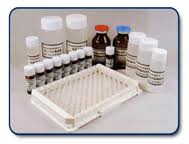 Rat Cyclic guanosine monophosphate,cGMP ELISA Kit