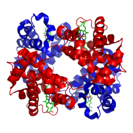 Hemoglobin