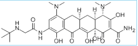 Tigecycline