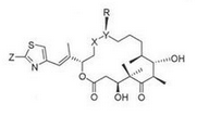 Epothilone D