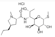 Lincomycin