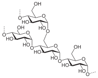 Amylopectin