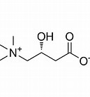 L-Carnitine