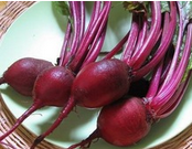 Pure Beet root extract