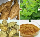 Pure Pueraria mirifica extract