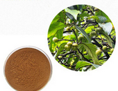 Pure Pygeum bark extract