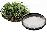 Saw palmetto fruit extract